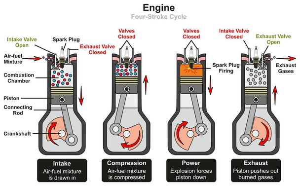 Diagrama infográfico do ciclo de quatro tempos do motor, incluindo estágios de potência de compressão de admissão e exaustão, mostrando peças e válvulas abertas e fechadas para educação em ciências da física mecânica
 - Vetor, Imagem