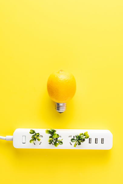 верхний вид лампочки из лимона и розетки с зелеными ветками на желтом фоне
   - Фото, изображение