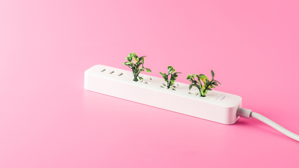 close-up view of white socket outlet with green leaves isolated on pink - Photo, Image