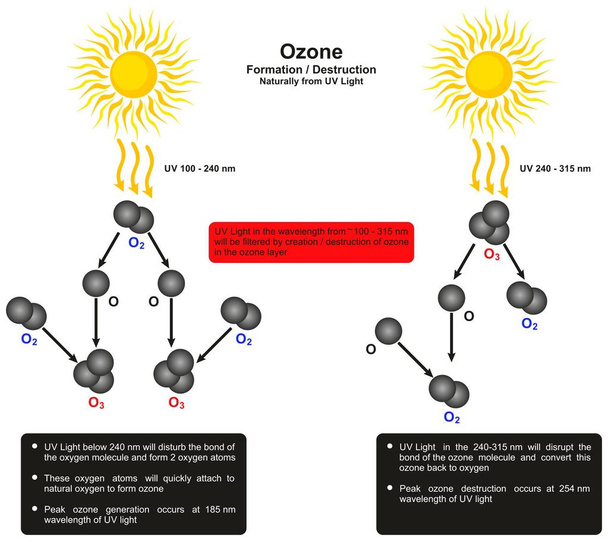 Ozone Formation Destruction infographic diagram by naturally form UV light showing creation and destruction of ozone molecule wavelength for science education - Vector, Image