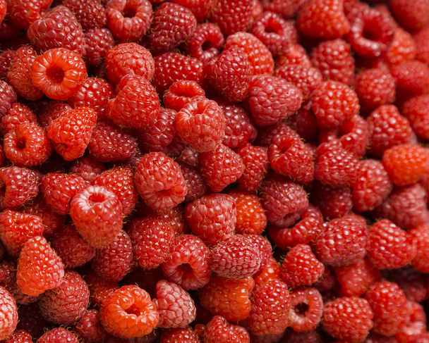 Fresh Ripe Raspberries Berries, The Nature Vitamins - 写真・画像