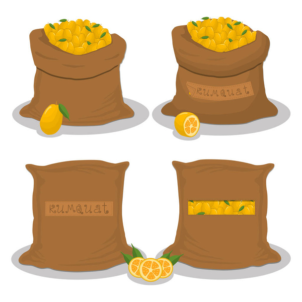 Vector pictogram illustratie logo voor zakken gevuld met fruit kumquat, opslag in zakken. Kumquat patroon bestaande uit rijp voedsel, rauwe product op open zak. Smakelijke kumquat van eco zak, volledige baggy tas. - Vector, afbeelding