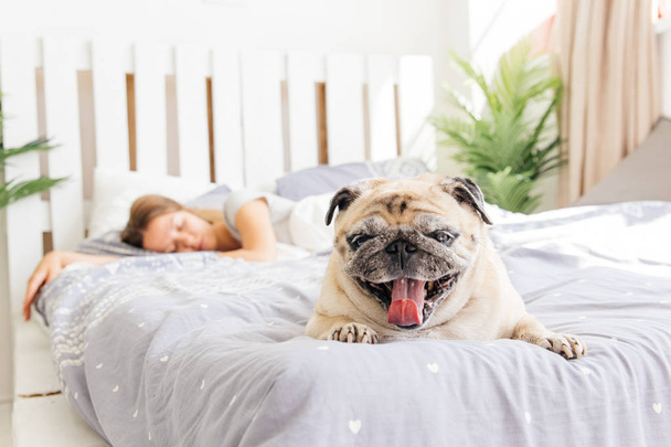 Fiatal nő a kutyájával egy ágyban. Reggeli az ágyban - Fotó, kép