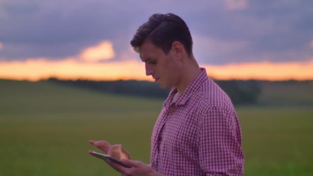 Handsome young man in pink shirt typing on tablet and standing on wheat or rye field, beautiful pink sky with clouds above. - Кадры, видео