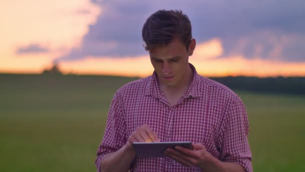 Young handsome man typing on tablet and standing on wheat or rye field, pink sky above with clouds - Video