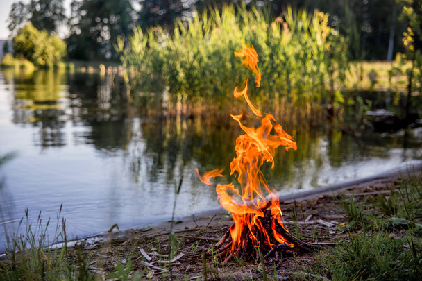 Beautiful campfire in the evening at lake. Fire burning in dusk at campsite - 写真・画像