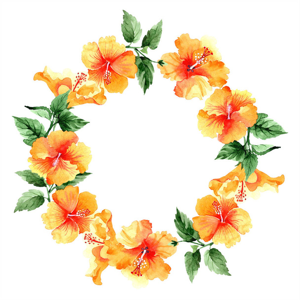 Watercolor orange naranja hibiscus flowers. Floral botanical flower. Frame border ornament square. Aquarelle wildflower for background, texture, wrapper pattern, frame or border. - Foto, Imagem