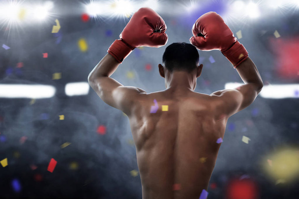 Boxer winning the match - Foto, Imagen