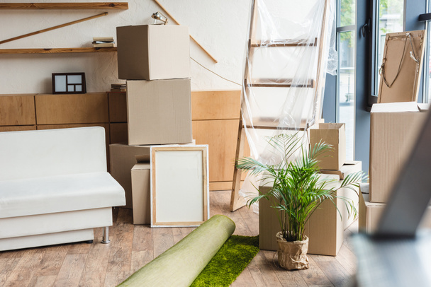 cardboard boxes, rolled carpet, green houseplant and furniture in new house during relocation - Photo, Image