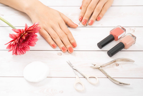 Nail care and manicure. Beautiful female hands with nail polish. Red manicure - 写真・画像