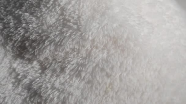 Syntetyczny poliester biały futro. Kolor tekstury tła. - Materiał filmowy, wideo