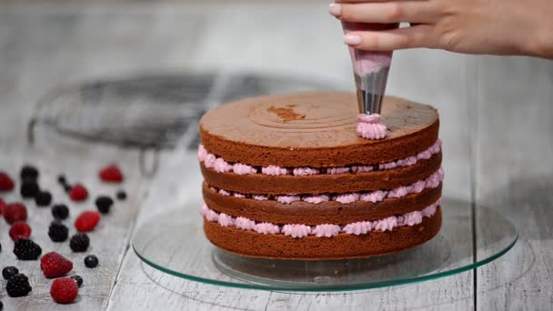 Προετοιμασία καθιστώντας κέικ σοκολάτας με μούρα. Γυναικείο χέρι διακοσμούν κέικ. - Πλάνα, βίντεο