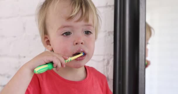 kid boy brushing teeth - Video, Çekim