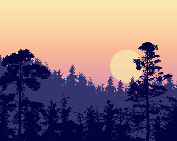 Ilustración vectorial de un denso bosque de coníferas en una colina bajo un cielo violeta matutino o vespertino con amanecer rojo y amarillo, con efecto multicapa y espacio para el texto
 - Vector, Imagen