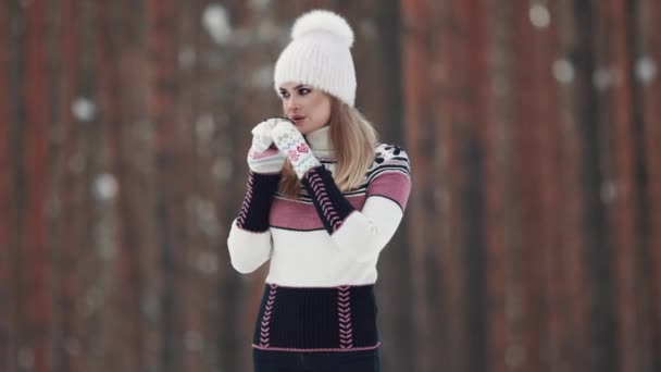 το κορίτσι πίνει τσάι από ένα θερμός στον ανοιχτό αέρα. Πορτρέτο του μια νεαρή γυναίκα στο πλεκτό πουλόβερ σε ένα δάσος του χειμώνα. - Πλάνα, βίντεο