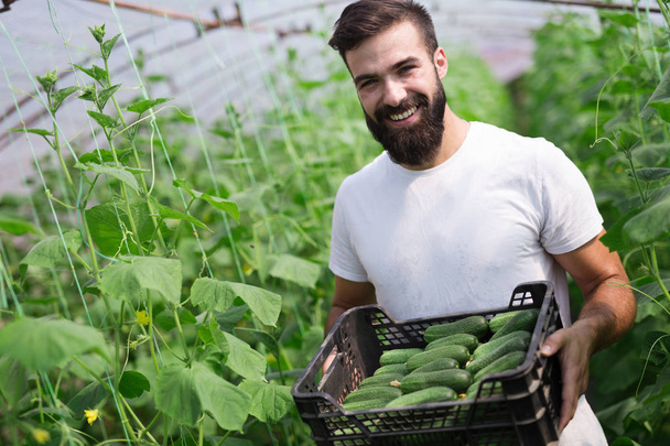 Attractive happy male farmer working in his greenhouse - Foto, imagen