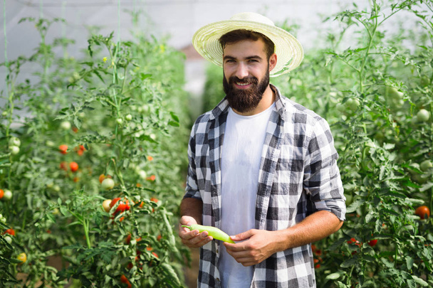 Friendly handsome farmer at work in greenhouse - 写真・画像