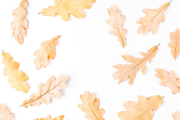 flat lay composition of autumn leaves on white background - Valokuva, kuva