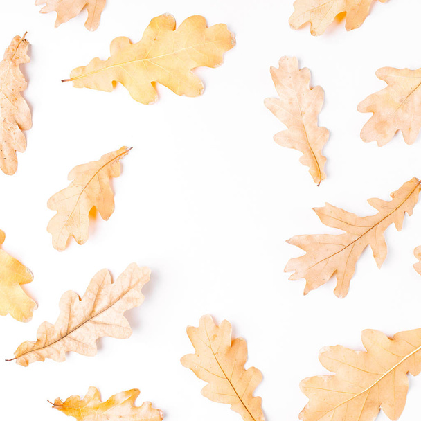flat lay composition of autumn leaves on white background - Zdjęcie, obraz