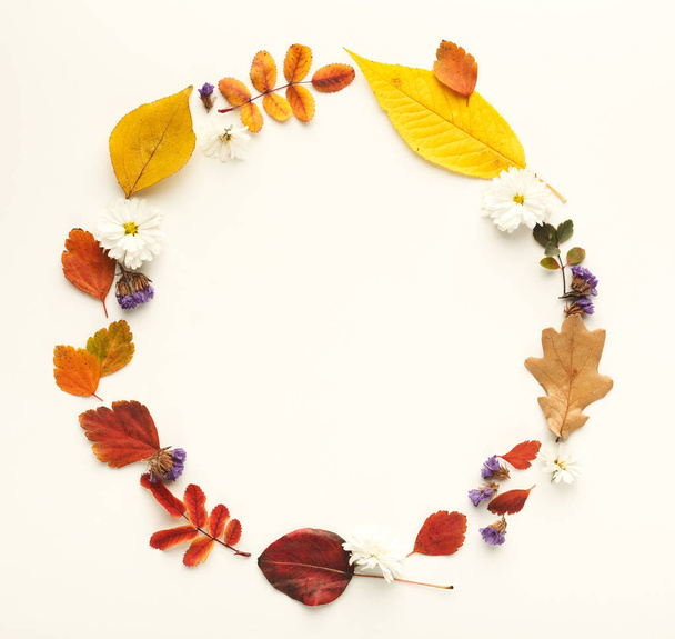 Kleurrijke herfstbladeren in cirkelframe geïsoleerd op wit - Foto, afbeelding