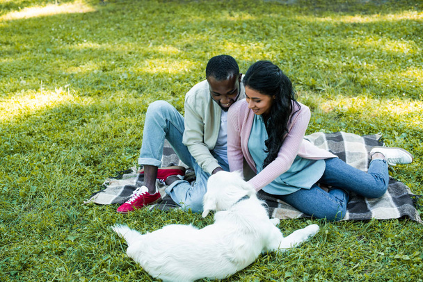 couple afro-américain assis sur la couverture dans le parc et regardant chien
 - Photo, image