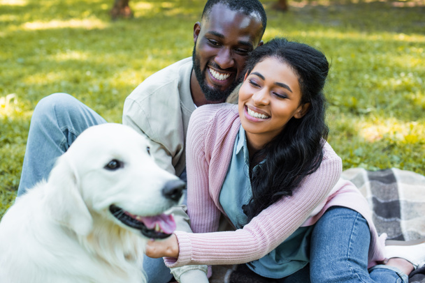 happy african american couple palming white dog in park - Fotografie, Obrázek