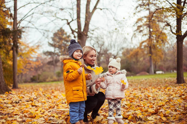Een jonge mooie moeder en twee kleine kinderen lopen rond de herfst park. Moeder en twee kleine kinderen spelen. Warme winter. Heldere herfst. - Foto, afbeelding
