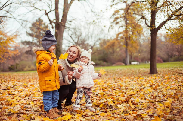 Μια νεαρή όμορφη μητέρα και δύο μικρά παιδιά που περπατούν γύρω από το πάρκο φθινόπωρο. Μαμα και δύο μικρά παιδιά παίζουν. Ζεστό το χειμώνα. Λαμπρό φθινόπωρο. - Φωτογραφία, εικόνα
