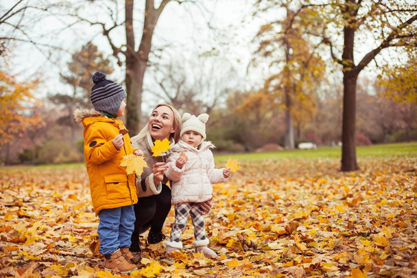 Μια νεαρή όμορφη μητέρα και δύο μικρά παιδιά που περπατούν γύρω από το πάρκο φθινόπωρο. Μαμα και δύο μικρά παιδιά παίζουν. Ζεστό το χειμώνα. Λαμπρό φθινόπωρο. - Φωτογραφία, εικόνα