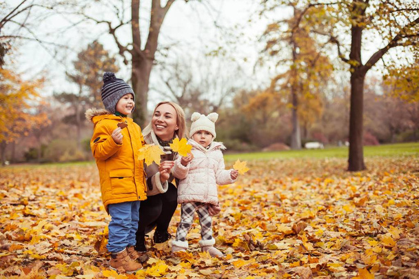 A young beautiful mother and two small children are walking around the autumn park. Mom and two small children play. Warm winter. Bright autumn. - Photo, Image