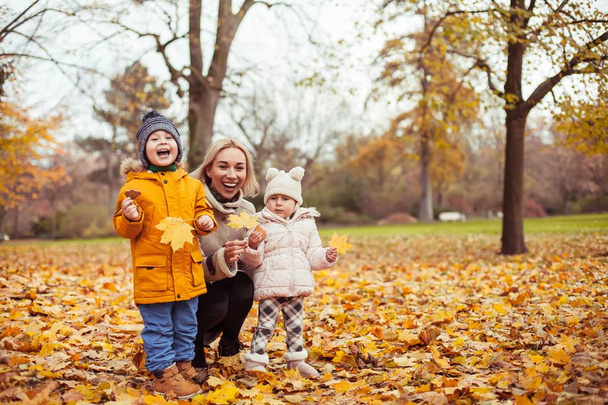 Молодая красивая мать и двое маленьких детей прогуливаются по осеннему парку. Мама и двое маленьких детей играют. Теплая зима. Яркая осень
. - Фото, изображение