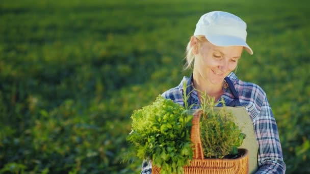 Woman farmer with basket of greens and spices standing on the field - Filmati, video