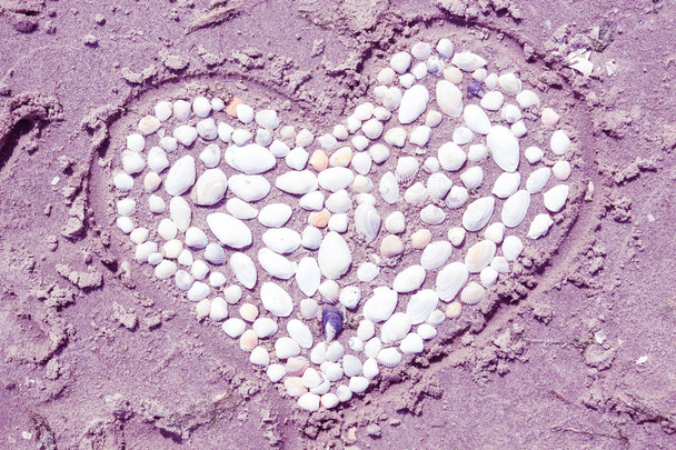 Coração branco de conchas marinhas na areia roxa, o conceito de amor e surrealismo
 - Foto, Imagem