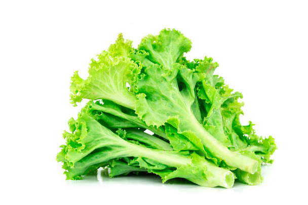 Lettuce isolated on white background - Фото, изображение