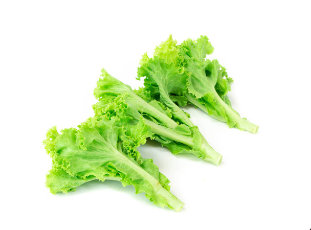 Lettuce isolated on white background. - Foto, afbeelding