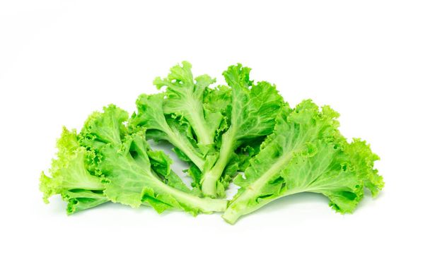 Salad leaf, Lettuce isolated on white background. - Foto, afbeelding