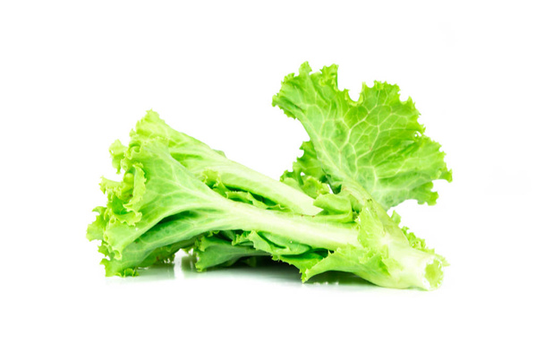 Salad leaf, Lettuce isolated on white background - Foto, afbeelding