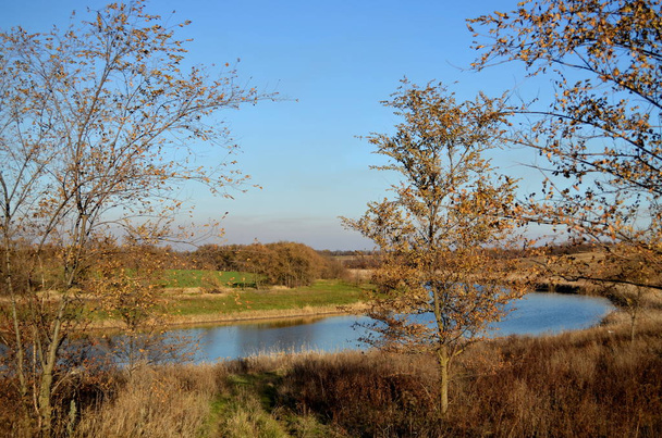 Joki arolla sinisen taivaan alla sumun, vihreiden niittyjen ja syksyn puiden kanssa etualalla
 - Valokuva, kuva