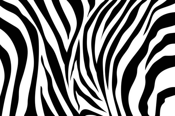 Zebra çizgili desen. Zebra baskı, hayvan cilt, kaplan şeritleri, soyut desen, satır arkaplanı, kumaş. Şaşırtıcı elle çizilmiş vektör çizim. Poster, afiş. Siyah-beyaz sanat, monochrom - Vektör, Görsel