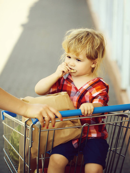 Cute boy in shopping trolley - Zdjęcie, obraz