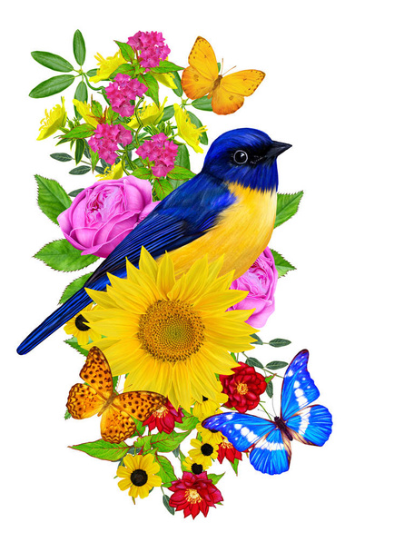 bird sits on a branch of bright red flowers, yellow sunflowers, green leaves, beautiful butterflies. Isolated on white background. Flower composition. - Zdjęcie, obraz