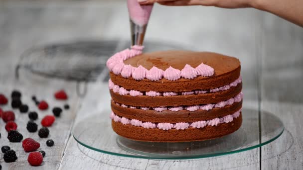 Приготування шоколадного торта з ягодами. Жінки рукою прикрашають торт
. - Кадри, відео