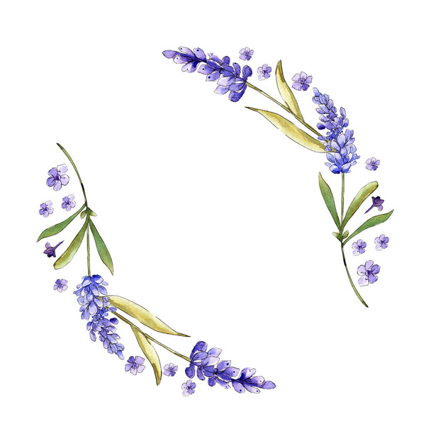 紫のラベンダーの花 春の野の花 水彩画背景イラスト リース フレームの枠線 ロイヤリティフリー写真 画像素材