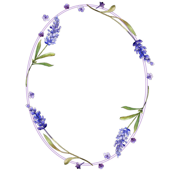 Watercolor purple lavender flowers. Floral botanical flower. Frame border ornament square. Aquarelle wildflower for background, texture, wrapper pattern, frame or border. - Foto, Bild