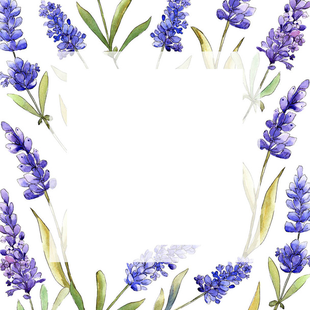 Watercolor purple lavender flowers. Floral botanical flower. Frame border ornament square. Aquarelle wildflower for background, texture, wrapper pattern, frame or border. - Fotoğraf, Görsel