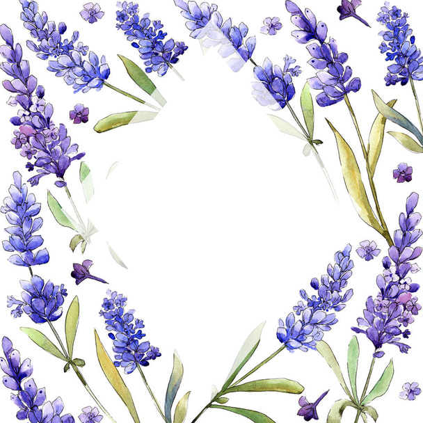 Watercolor purple lavender flowers. Floral botanical flower. Frame border ornament square. Aquarelle wildflower for background, texture, wrapper pattern, frame or border. - Photo, image