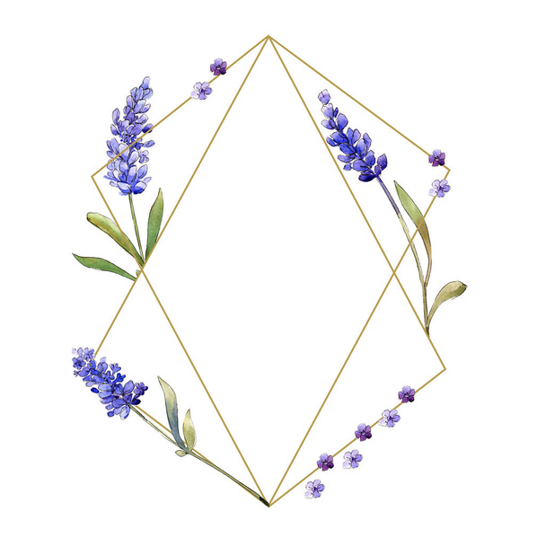 Watercolor purple lavender flowers. Floral botanical flower. Frame border ornament square. Aquarelle wildflower for background, texture, wrapper pattern, frame or border. - 写真・画像
