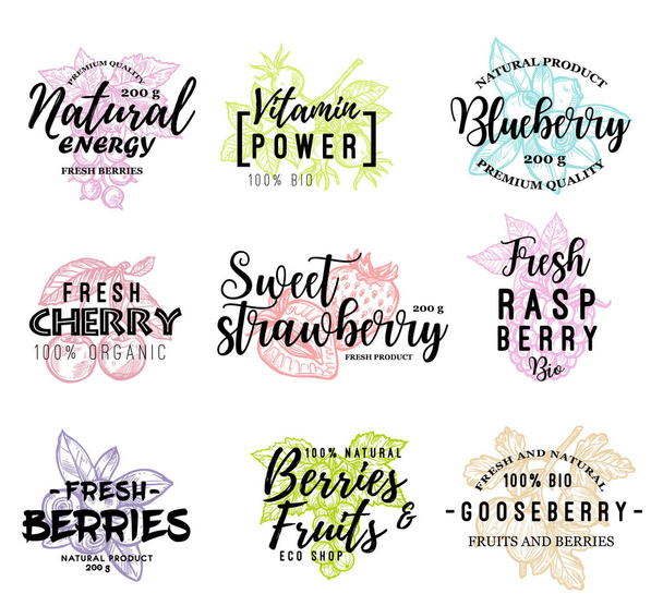Wild and garden berries lettering icons - Вектор,изображение