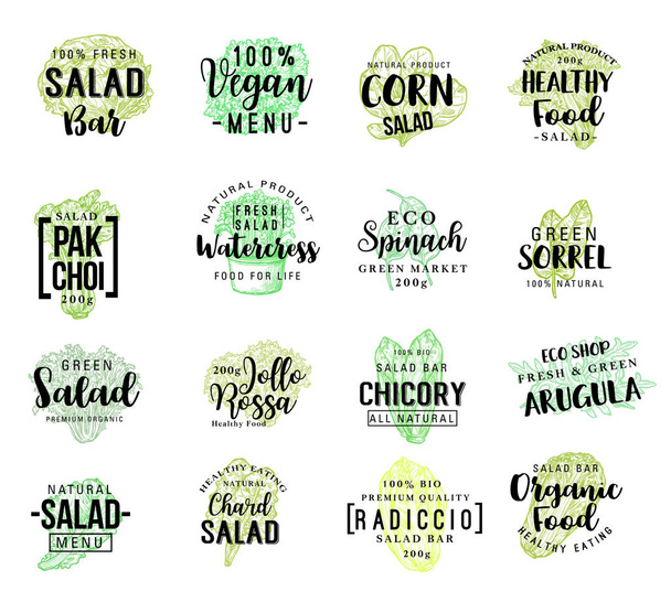 Salads vegetables vector sketch lettering - Vector, Image
