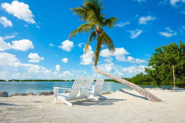 Scenic view of the popular Florida Keys along the bay. - Photo, Image